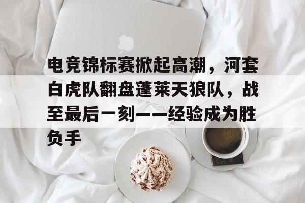 九游官网入口下载-关于电竞锦标赛掀起高潮，河套白虎队翻盘蓬莱天狼队，战至最后一刻——经验成为胜负手的信息